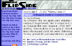 Flipside Articles