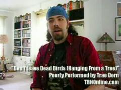 Don't Leave Dead Birds (Hanging From a Tree)