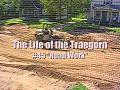 #1.45 - Road Work #1.45 - Road Work