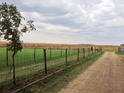 Hayride