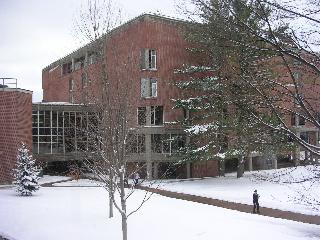 Snowy scene