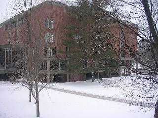 Snowy
