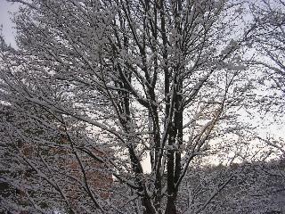 Snow