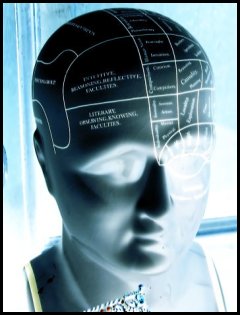 Head.