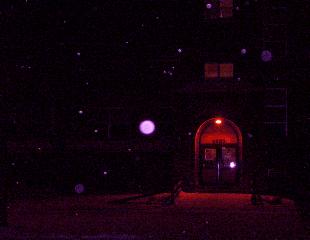 It's Snowing Out