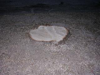 The Tree Stump