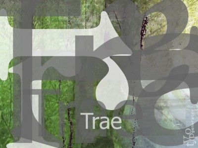 Collage Created by TypoGenerator