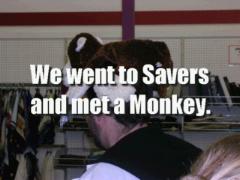 Bad Monkey